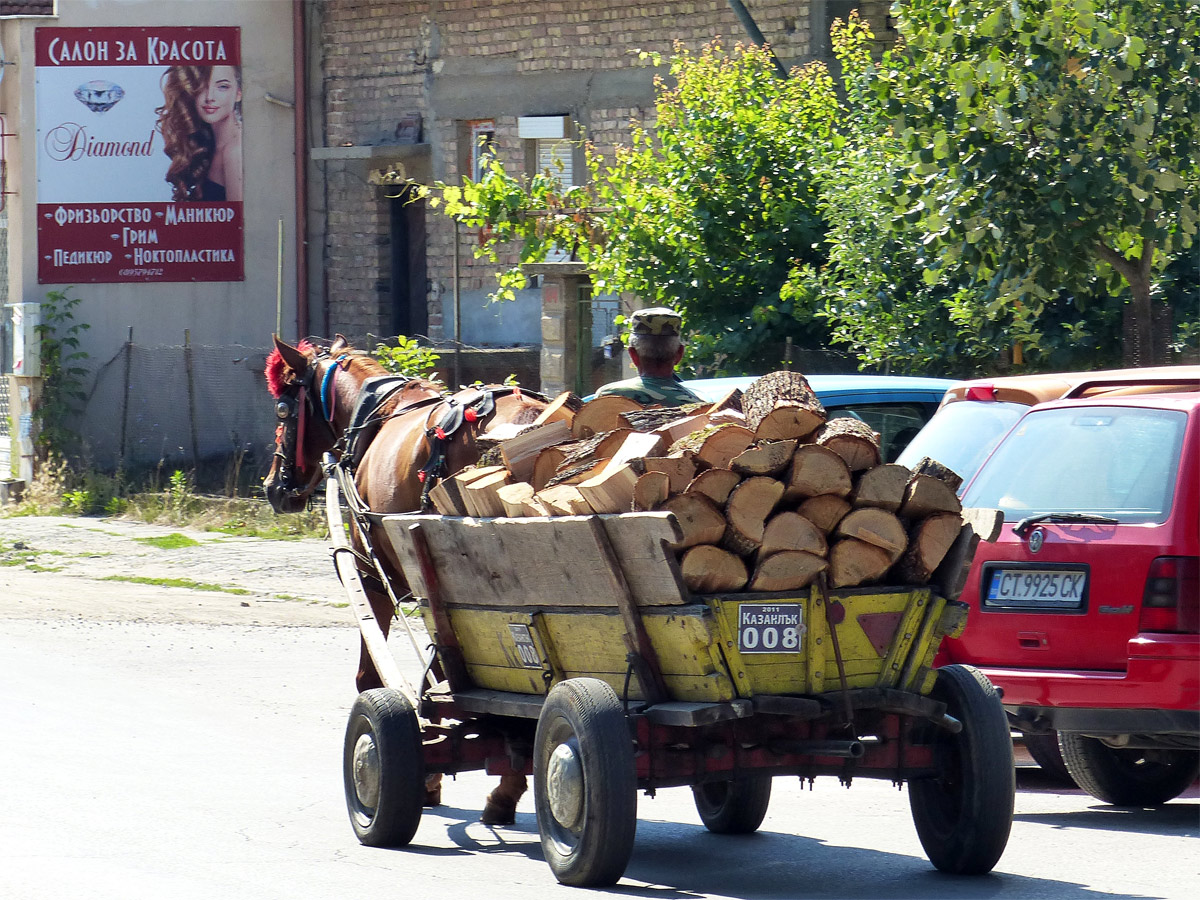 carriole avance vers un poster salon beauté